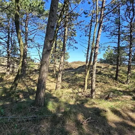 8 Person In Romo Prázdninový dům Kongsmark